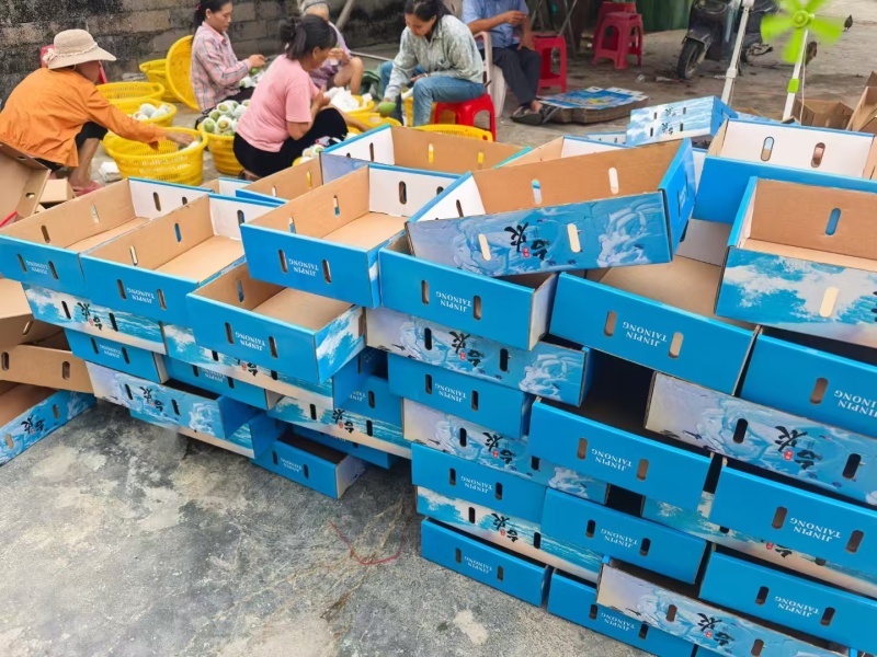 海南正宗台农芒果基地直发保质保量售后无忧一件代发