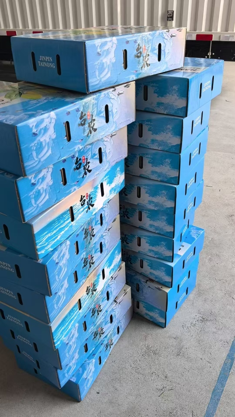 海南正宗台农芒果基地直发保质保量售后无忧一件代发