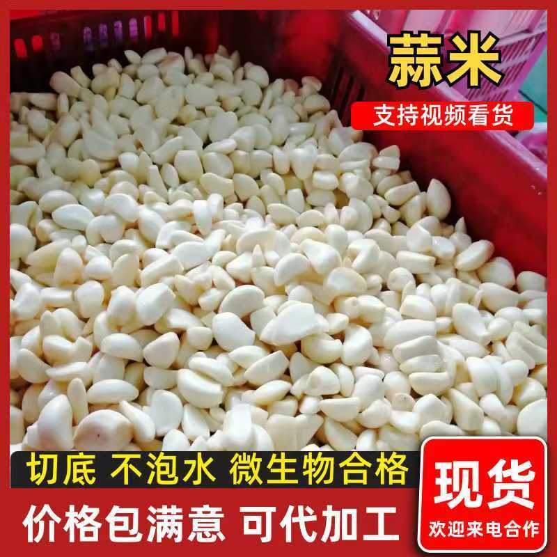 蒜米代加工腊八蒜用米食品厂用米切底不泡水微生物合格
