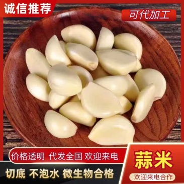 蒜米代加工腊八蒜用米食品厂用米切底不泡水微生物合格