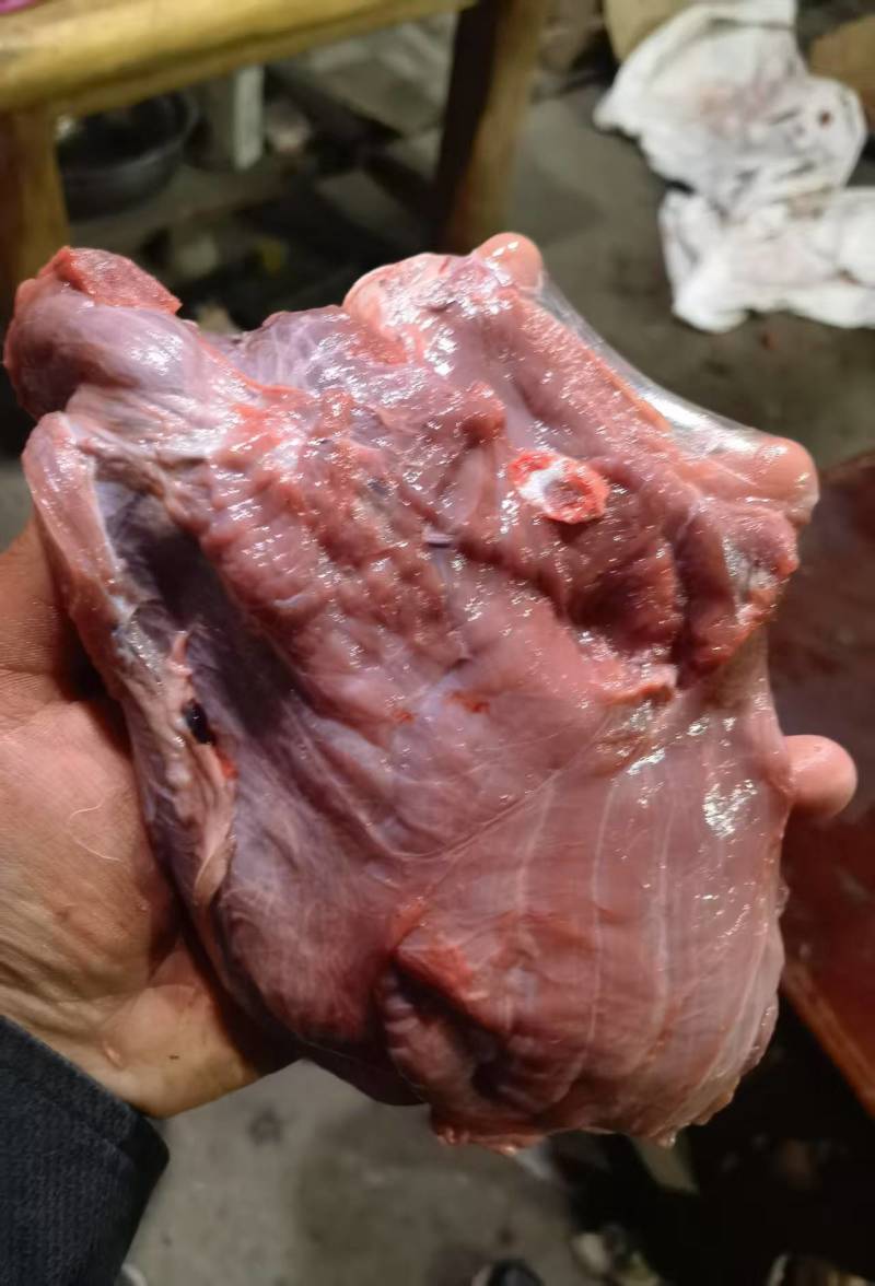大块牛碎肉