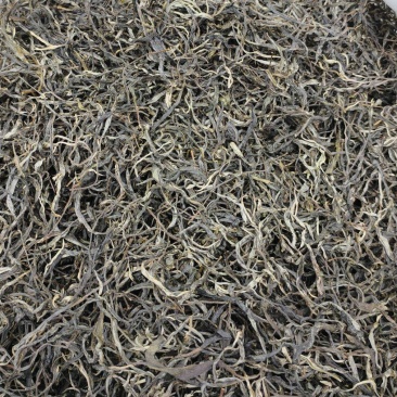 古树普洱茶