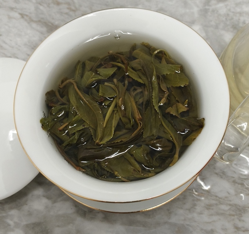 古树普洱茶