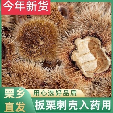 板栗壳新货中药材带刺球栗刺壳风栗壳板粟刺壳晒干迁西栗子刺