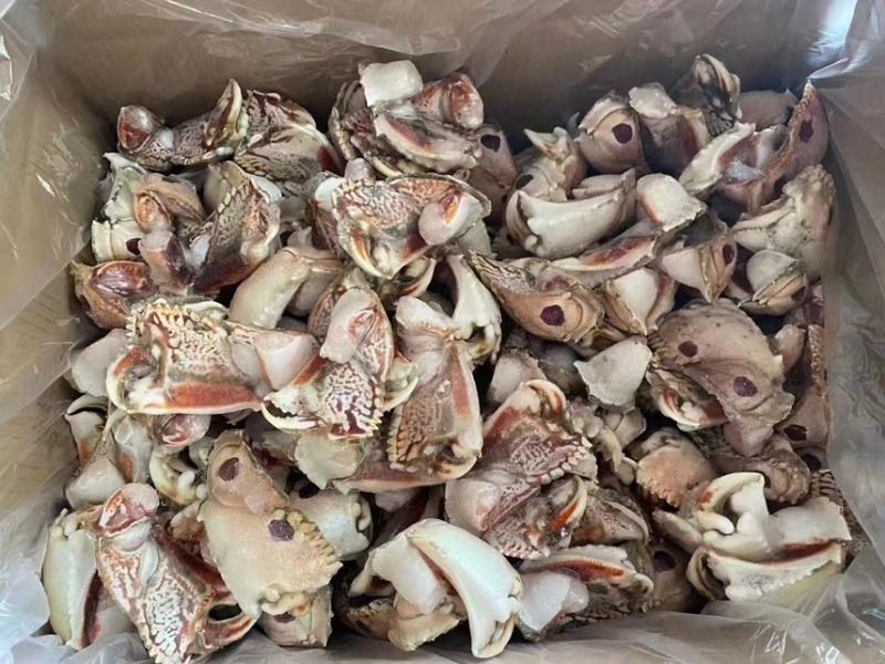 元宝蟹钳，虎纹蟹钳，蟹钳，厂家直销，量大从优