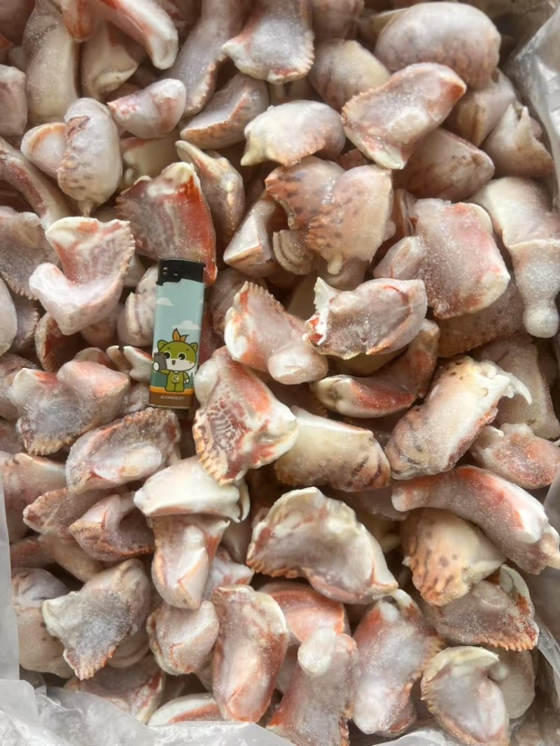 元宝蟹钳，虎纹蟹钳，蟹钳，厂家直销，量大从优