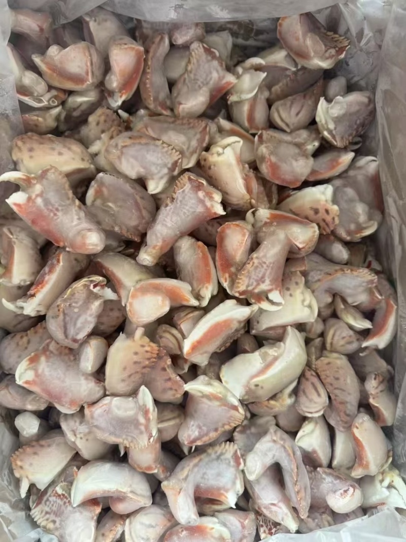元宝蟹钳，虎纹蟹钳，蟹钳，厂家直销，量大从优