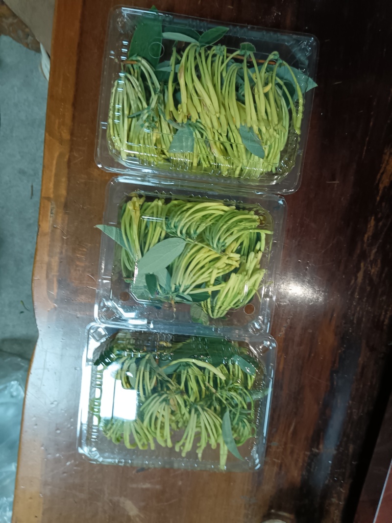 新鲜金银花，湿金银花