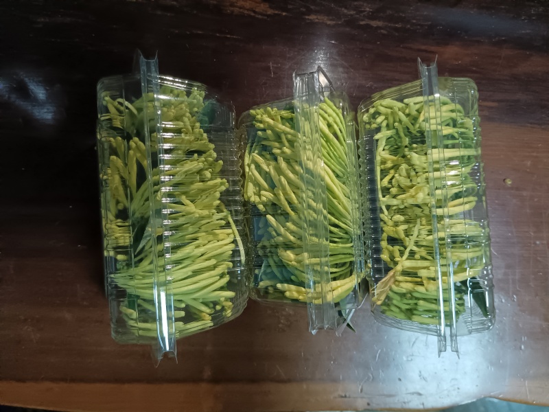 新鲜金银花，湿金银花