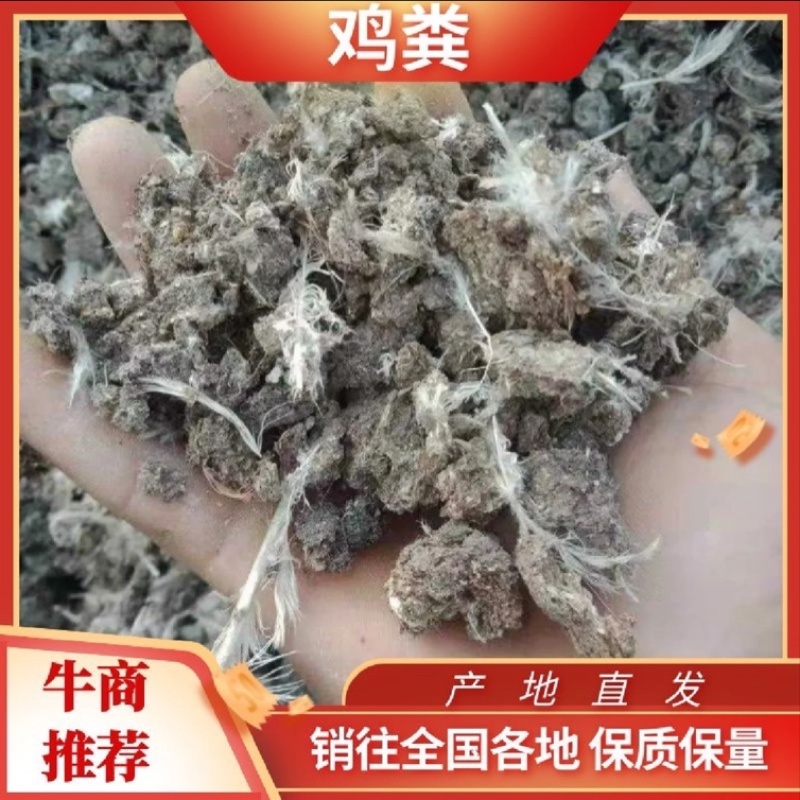 纯鸡粪发酵鸡粪，水果蔬菜甘蔗专用肥料。