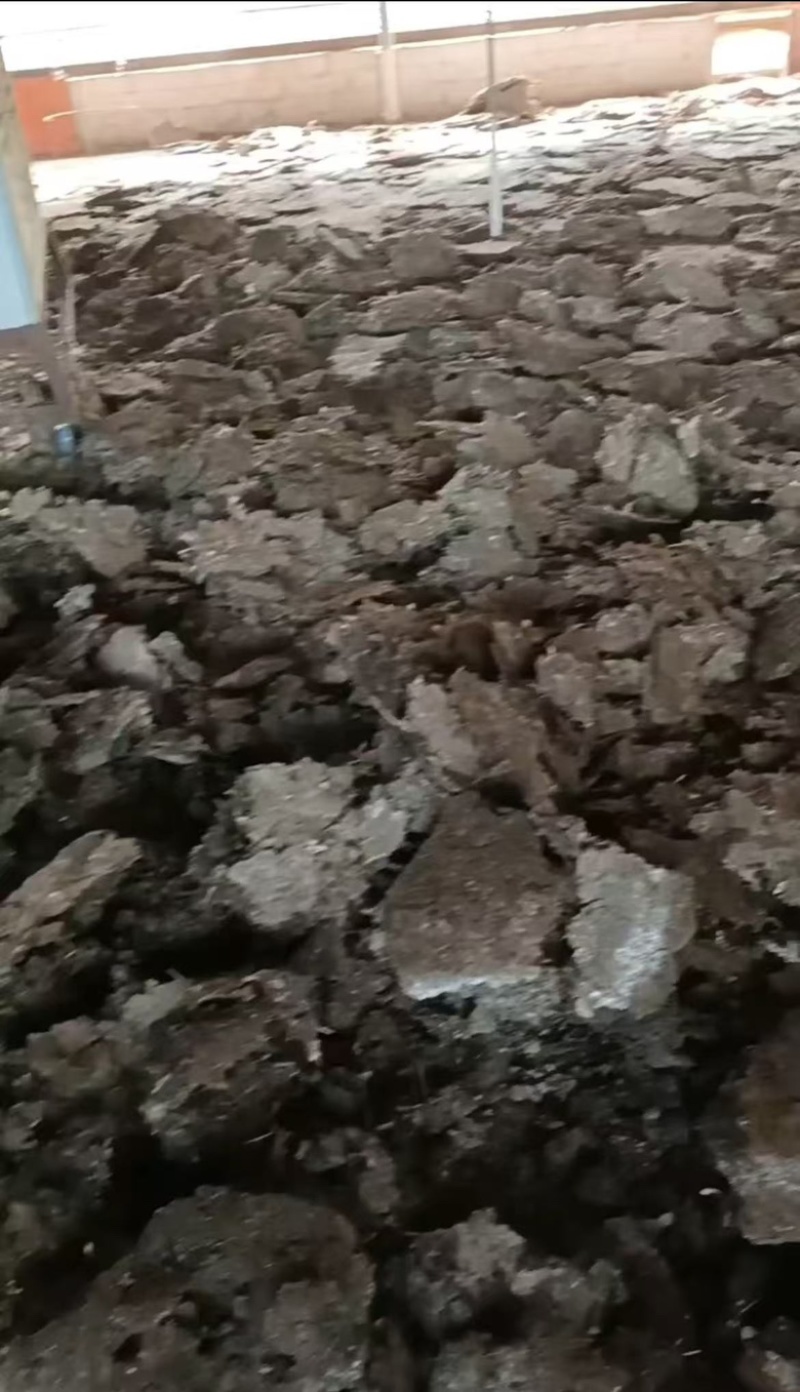 纯鸡粪发酵鸡粪，水果蔬菜甘蔗专用肥料。