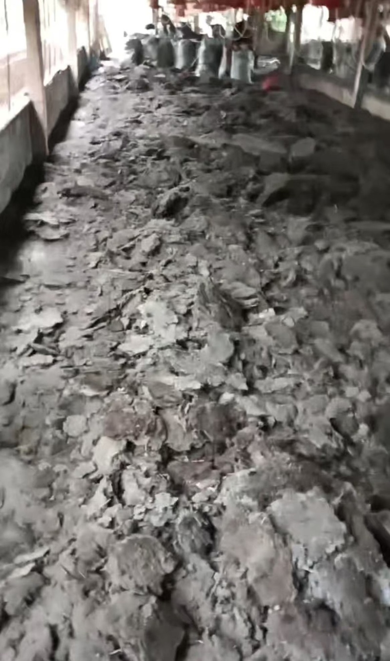 纯鸡粪发酵鸡粪，水果蔬菜甘蔗专用肥料。