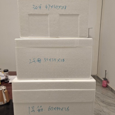 泡沫箱