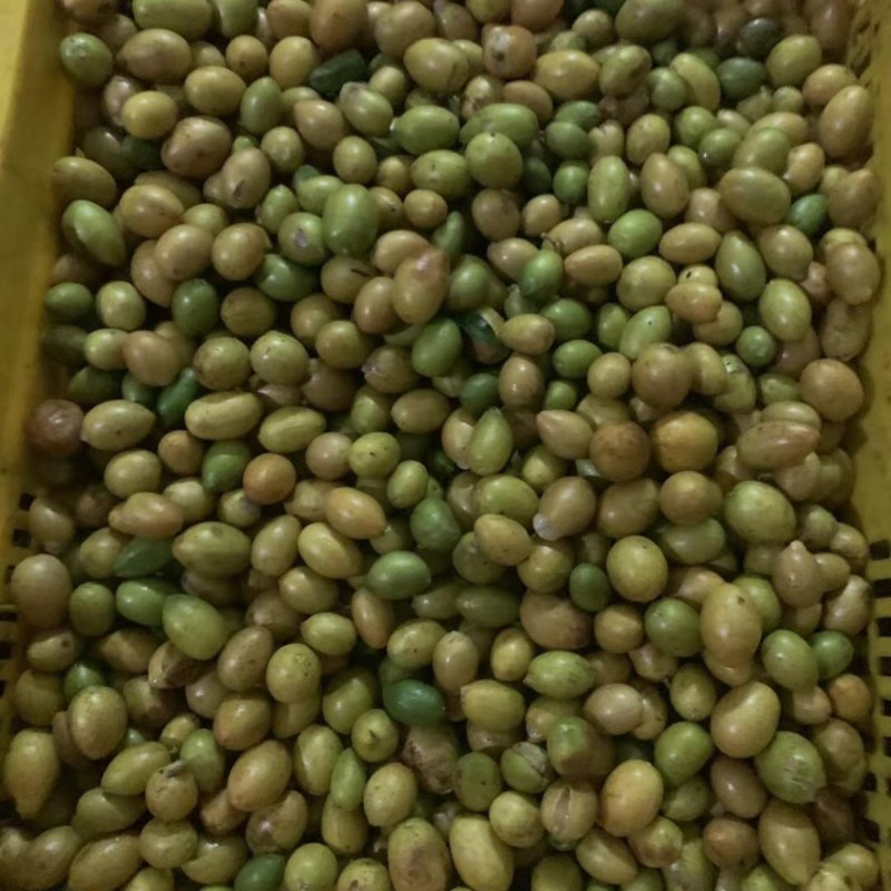 鸡心黄皮、可供奶茶、凉果、果汁