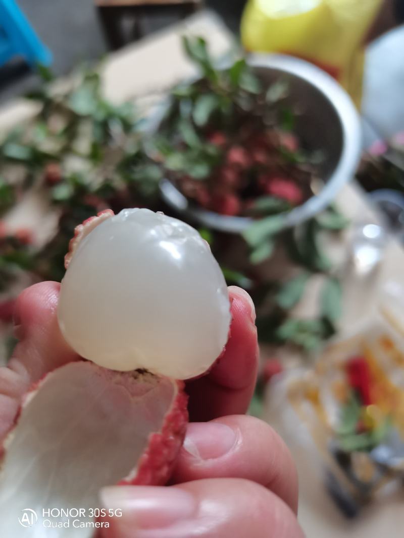 大量荔枝出售，有需要可联系