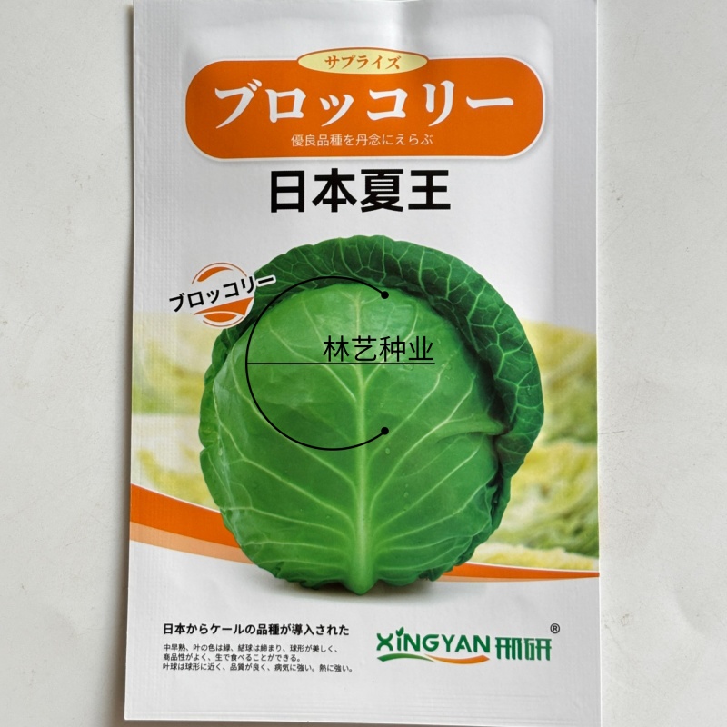 日本夏王甘蓝菜种子卷心菜一代杂交中早熟春夏秋栽培蔬菜
