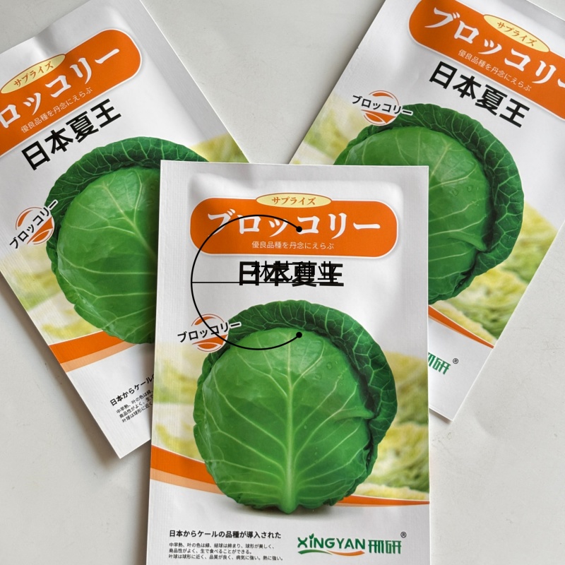 日本夏王甘蓝菜种子卷心菜一代杂交中早熟春夏秋栽培蔬菜