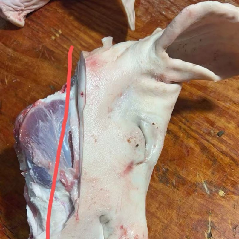 带耳朵，带口条肥猪猪头🐷