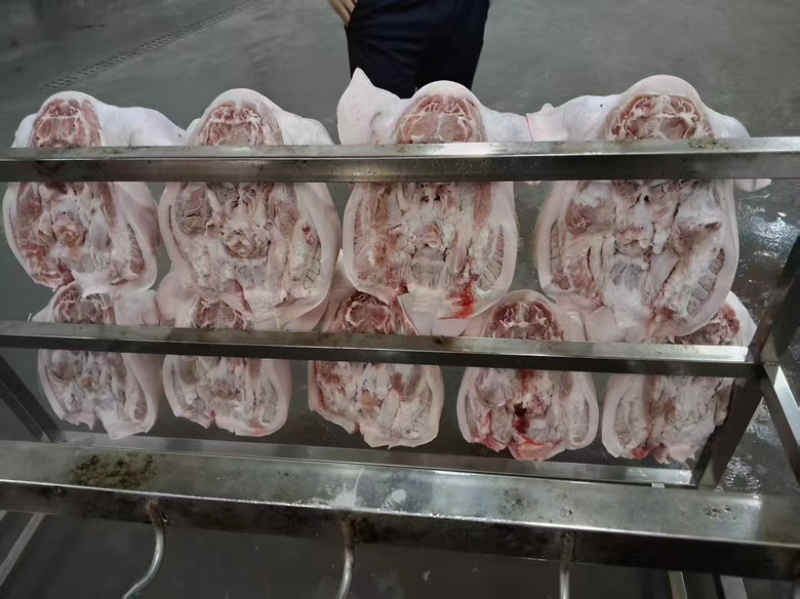 带耳朵，带口条肥猪猪头🐷