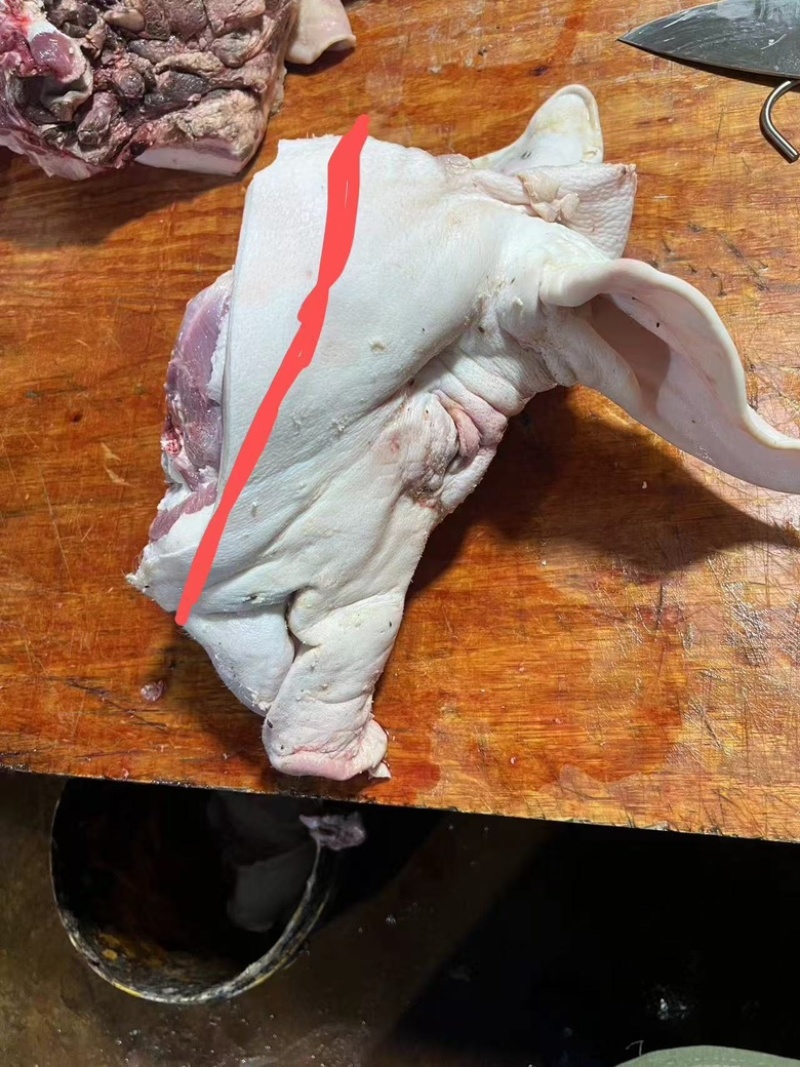 带耳朵，带口条肥猪猪头🐷