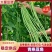 [热卖]湖北宜昌长豆角青条豆角大量有货可视频看货