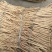 甘肃岷县整条原装，无硫原产地白条党原产地直发中药材