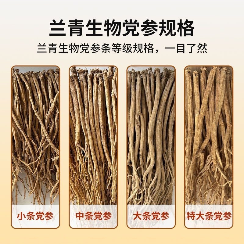 甘肃岷县整条原装，无硫原产地白条党原产地直发中药材