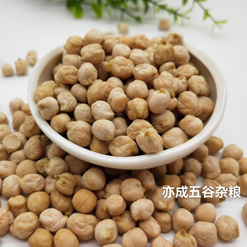 中颗粒鹰嘴豆批发山西鹰嘴豆颗粒饱满当季新货欢迎电联