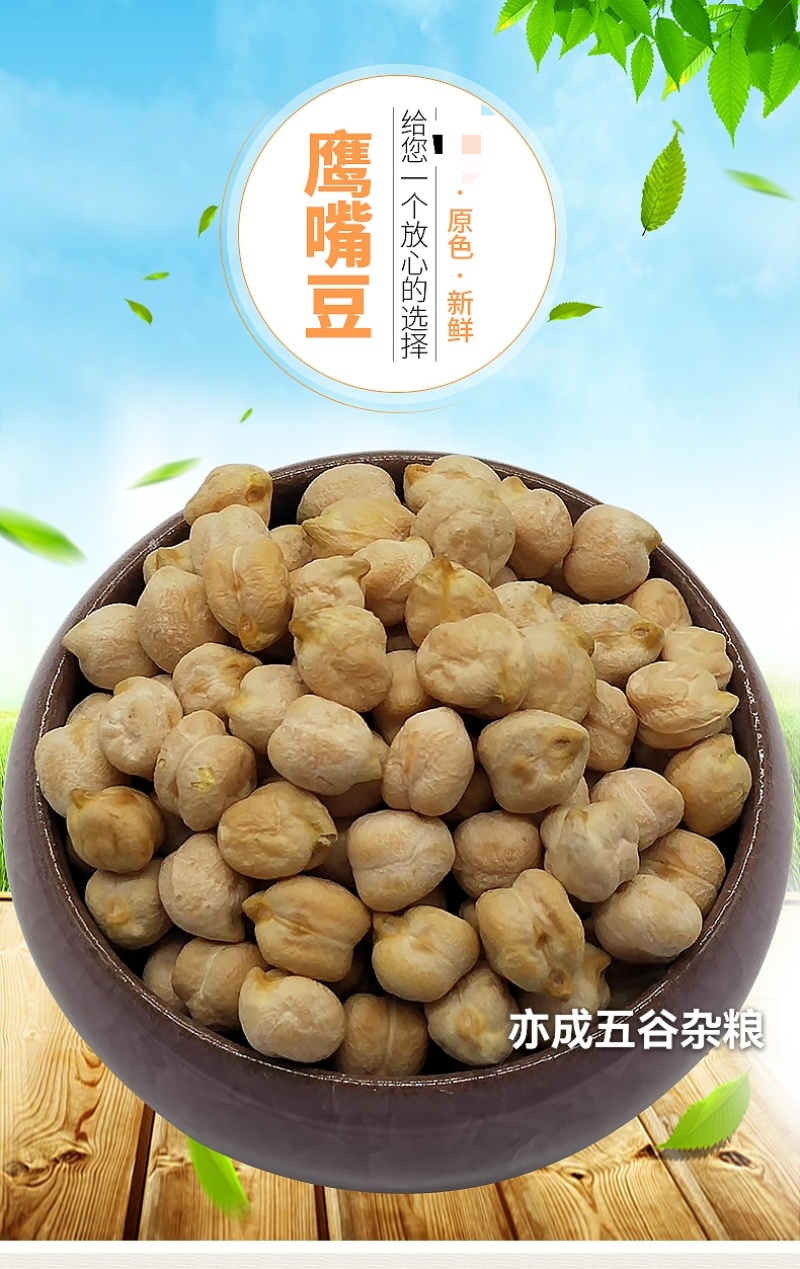 中颗粒鹰嘴豆批发山西鹰嘴豆颗粒饱满当季新货欢迎电联