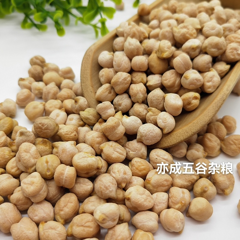 中颗粒鹰嘴豆批发山西鹰嘴豆颗粒饱满当季新货欢迎电联