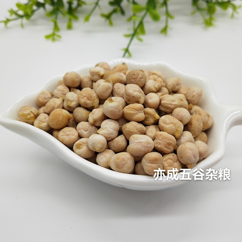 中颗粒鹰嘴豆批发山西鹰嘴豆颗粒饱满当季新货欢迎电联