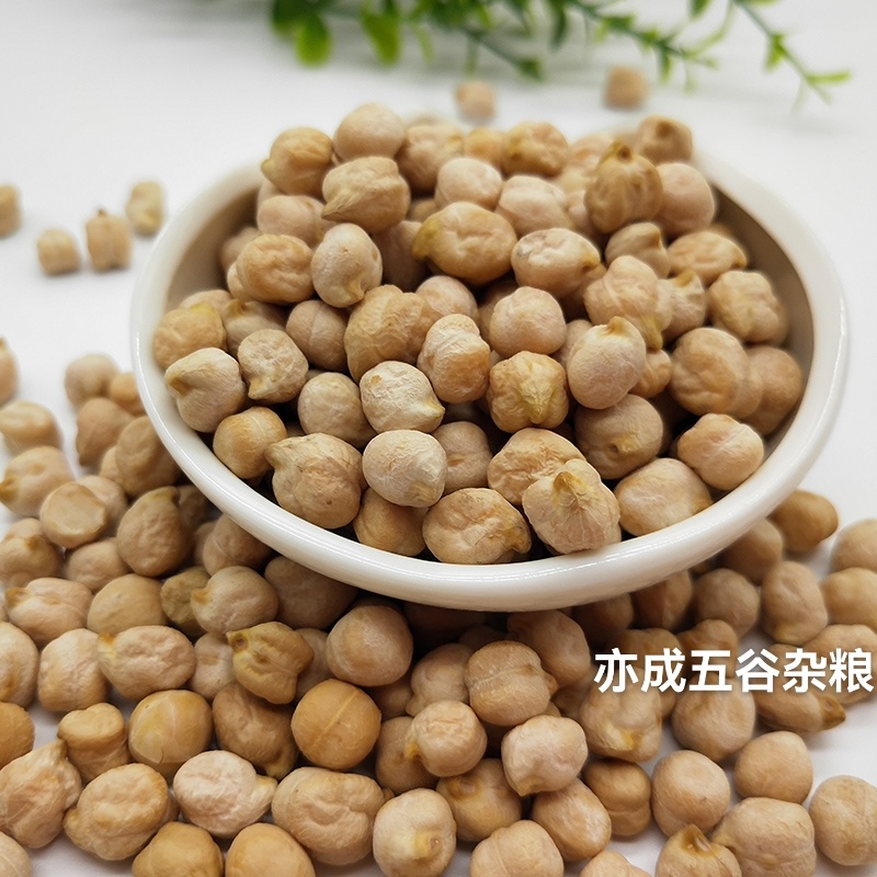 中颗粒鹰嘴豆批发山西鹰嘴豆颗粒饱满当季新货欢迎电联