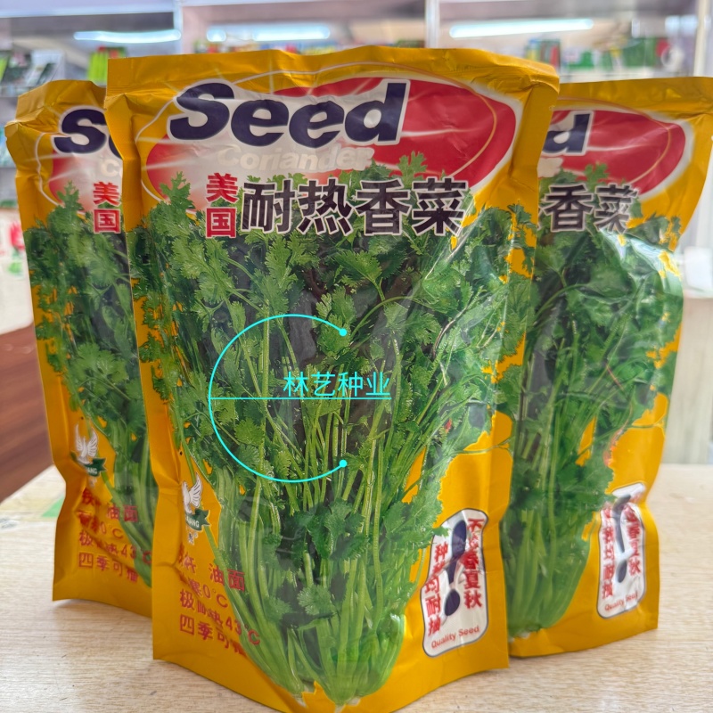 美国耐热香菜种子耐热43度耐寒零度高产量四季播