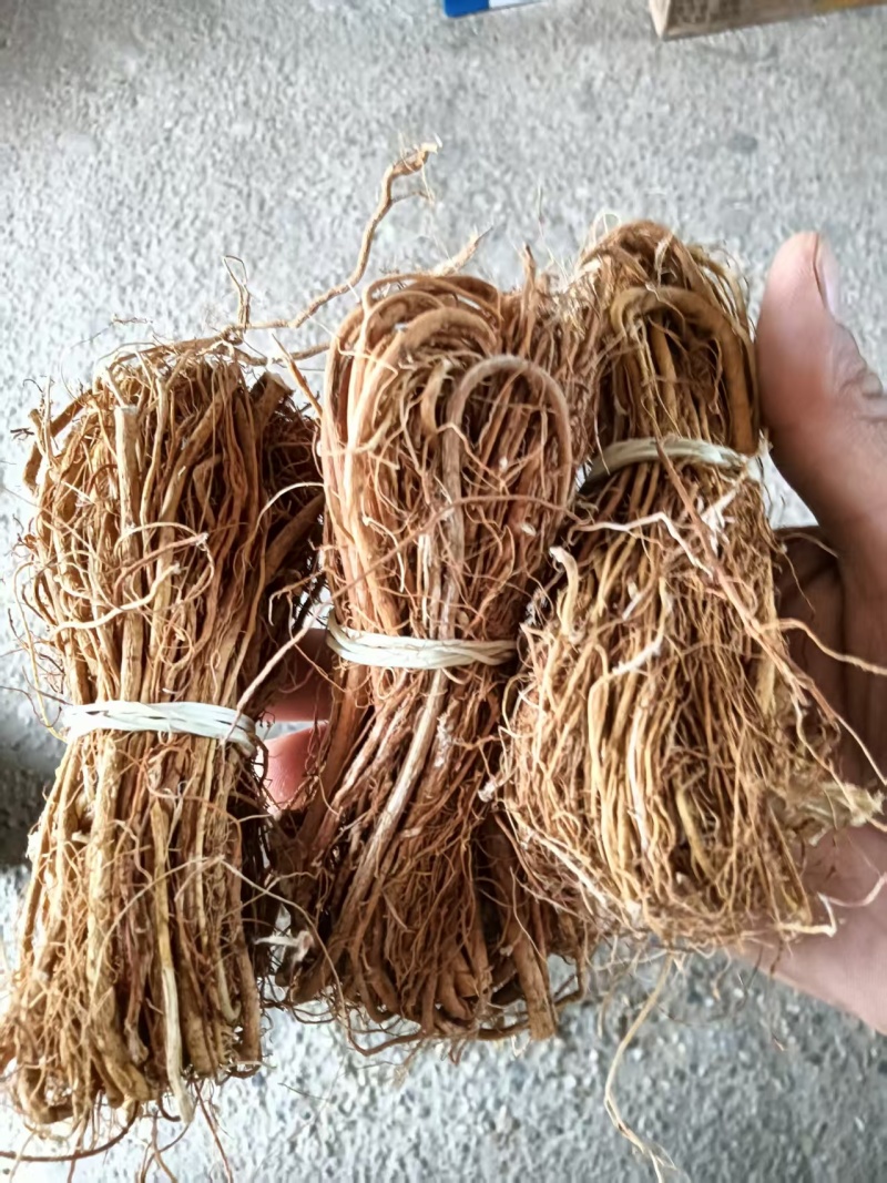五指毛桃