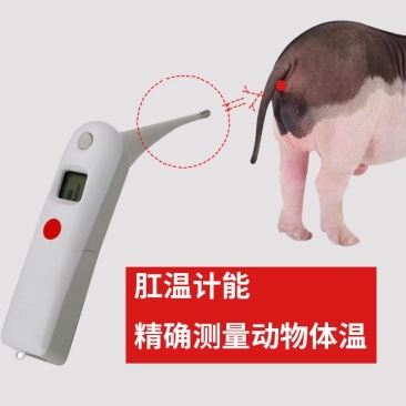 牛用兽用电子体温计牛羊猪体温表宠物猫咪狗狗腋下手持式