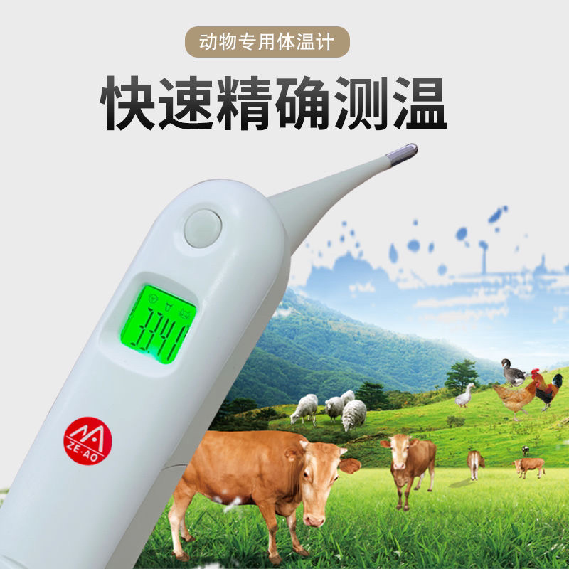 牛用兽用电子体温计牛羊猪体温表宠物猫咪狗狗腋下手持式