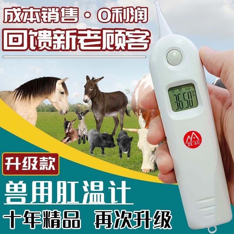牛用兽用电子体温计牛羊猪体温表宠物猫咪狗狗腋下手持式