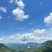 云南西双版纳夏威夷果澳洲坚果种植基地鲜果青皮量大