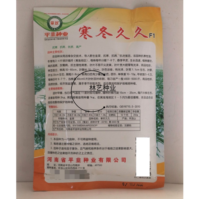 寒冬久久韭菜种子不休眠高产抗寒性强抗病韭菜籽宽叶厚叶韭菜