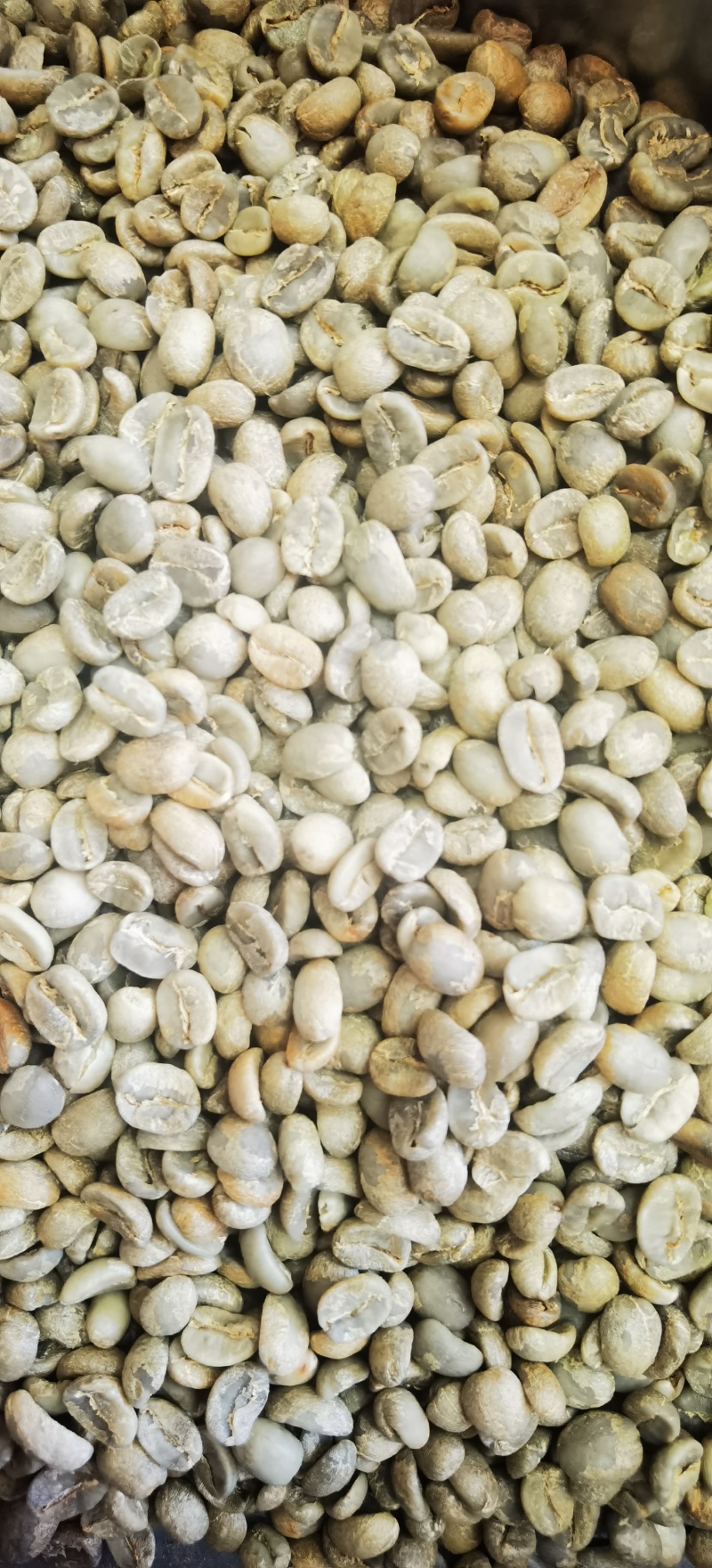 云南咖啡豆种植基地卡蒂姆铁皮卡生豆熟豆量大