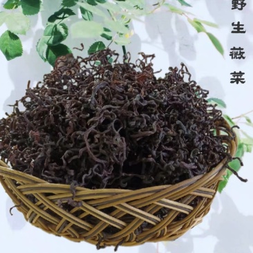 薇菜干