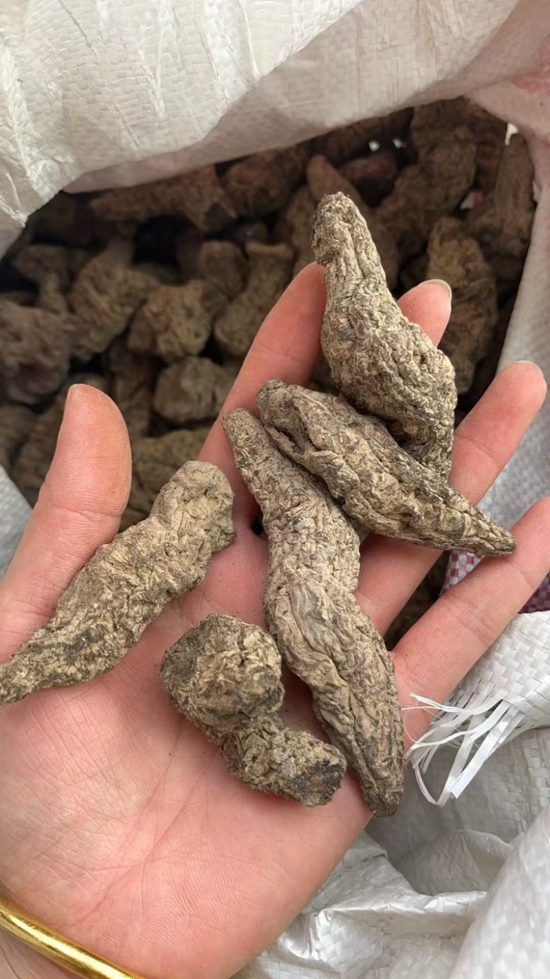 生地黄/河南焦作地黄/中药材生地整车配送大量现货