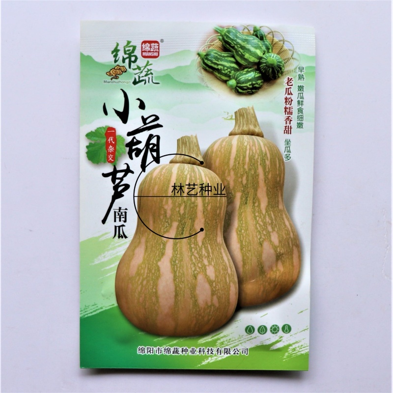 小葫芦早熟南瓜种子坐果能力强种子少瓜肉橘红色南瓜种子