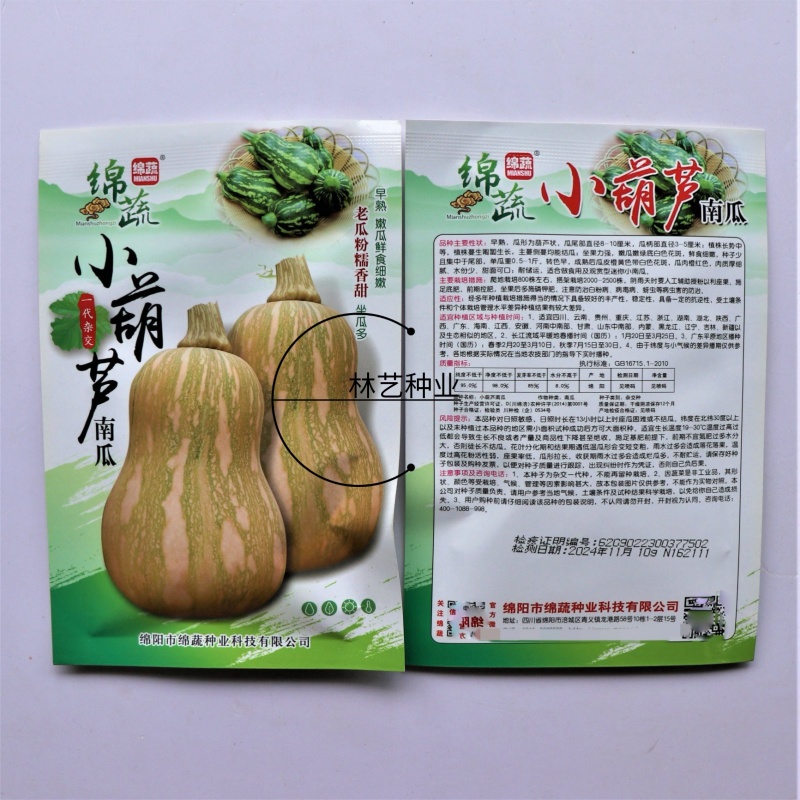 小葫芦早熟南瓜种子坐果能力强种子少瓜肉橘红色南瓜种子