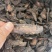 【包邮】生地黄片中药材正品怀生地黄片原产地直发正品新货