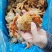 油炸半成品香酥蟹香辣蟹海洋野生螃蟹酒店半成品椒盐海螃蟹