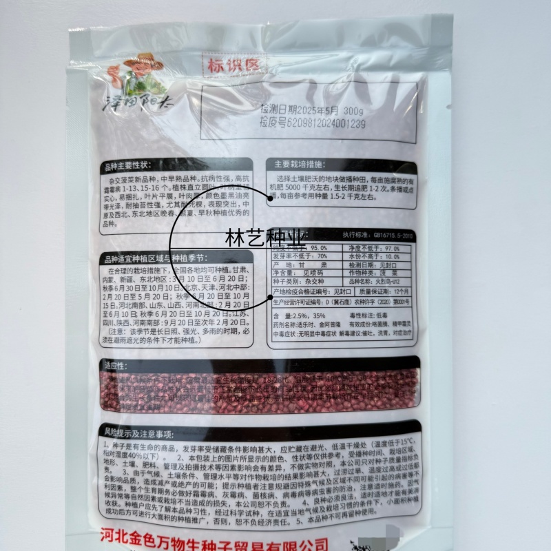 火烈鸟-U12菠菜种子耐热中早熟杂交菠菜种籽抗病直立圆叶