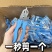 田螺剪刀螺蛳剪锻打螺丝钳去尾钳子食品级厨房神器斜嘴钳