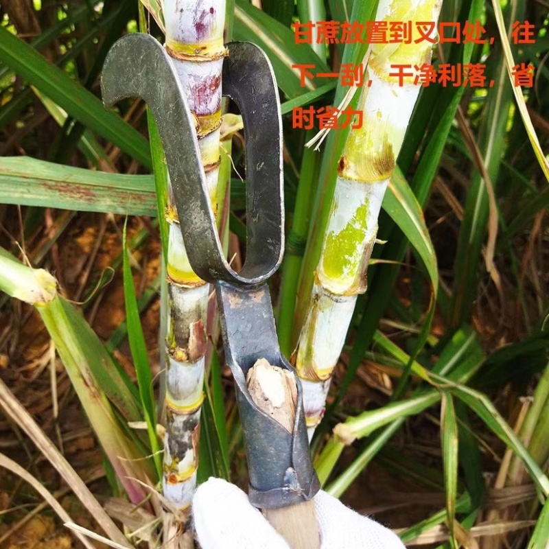 农用剥蔗叶网红剥甘蔗剥叶刨甘蔗剥叶刀手动剥甘蔗叶工具