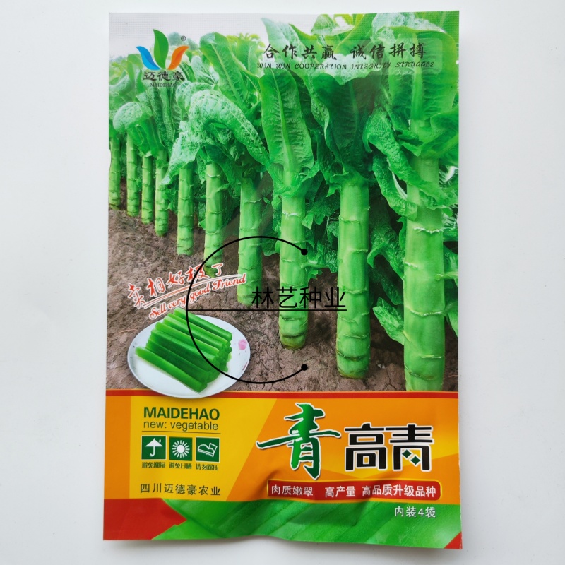 青高青莴笋种子椭圆叶三青高桩大棒高产耐寒四川农家秋冬季播